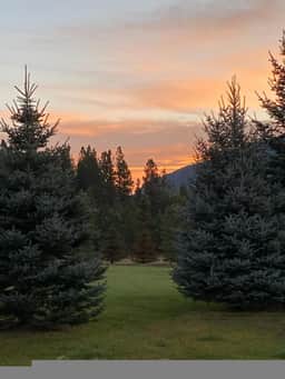 Beautiful Family Friendly Home Close to GNP! - Image 2